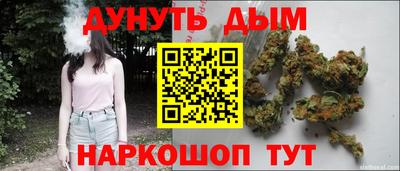 прущие крисы Можга