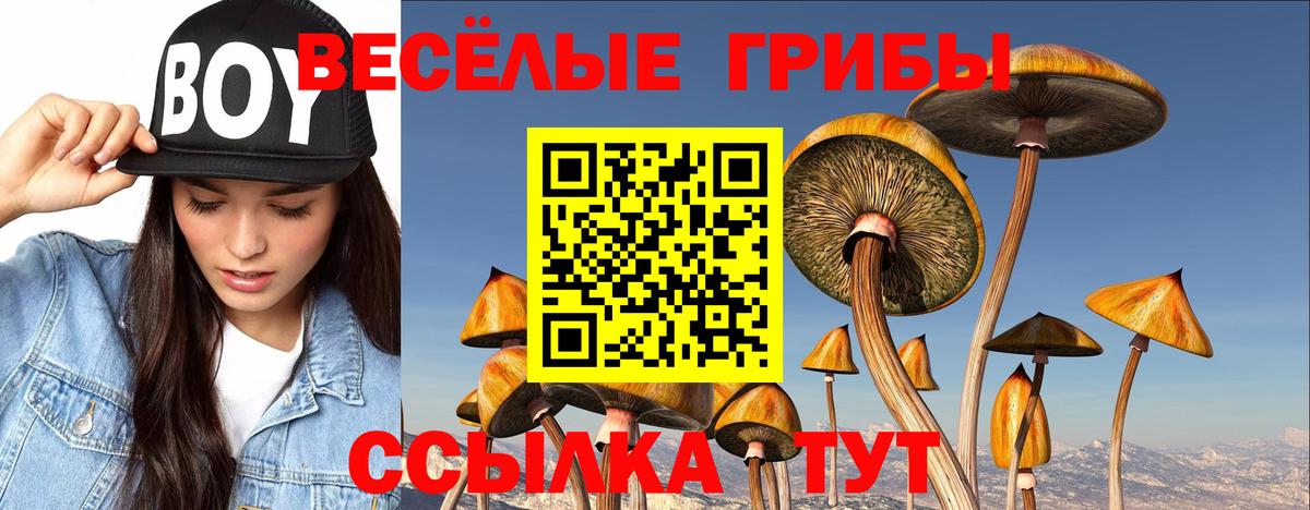 Галлюциногенные грибы MAGIC MUSHROOMS Губкин